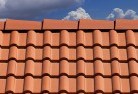 Codringtonroof-conversions-4.jpg; ?>